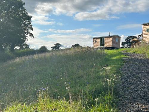 Chittlehampton Maison | Devon Peaceful shepherds hut with hammock