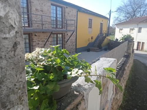 Coimbra Maison | DF Alojamentos e suites