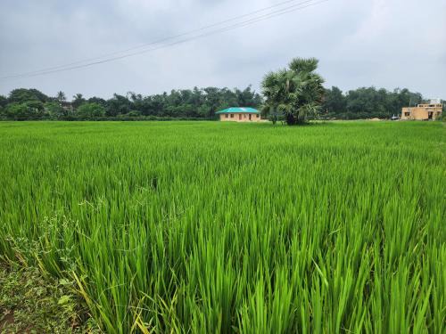 Barddhaman Hôtel | Dhanbari Retreat