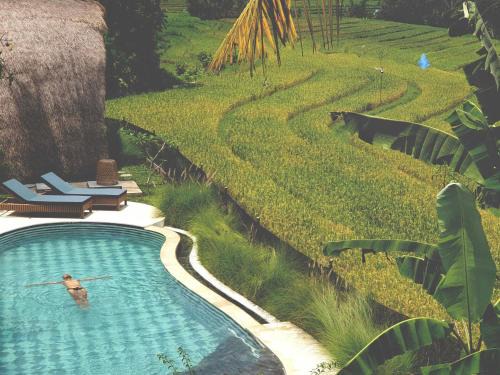 Selemadeg Maison | Dharma Oasis