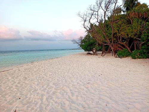 Omadhoo Maison | Dhoadhi Beach Maldives
