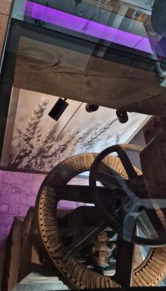 Samtens Appartement | Die Mühle Appartements