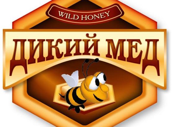 Khmelnytskyi Oblast Hôtel | Dikii Med