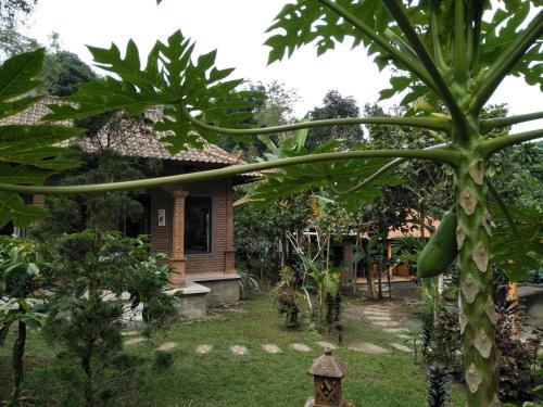 Wongaya Gede Maison | Dina Homestay