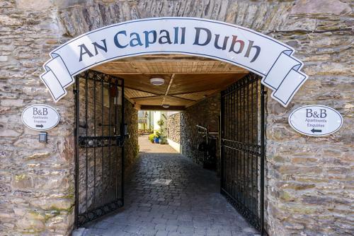Dingle Maison | Dingle Centre Townhouse An Capall Dubh Dingle