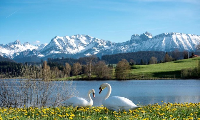 Seeg Appartement | Direkt am See mit Bergblick