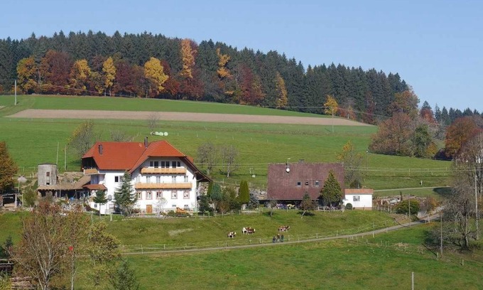 Biederbach Appartement | Appartement 90m², 3 chambres, max. 8 pers. , 1 à 8 personnes - Dischhof