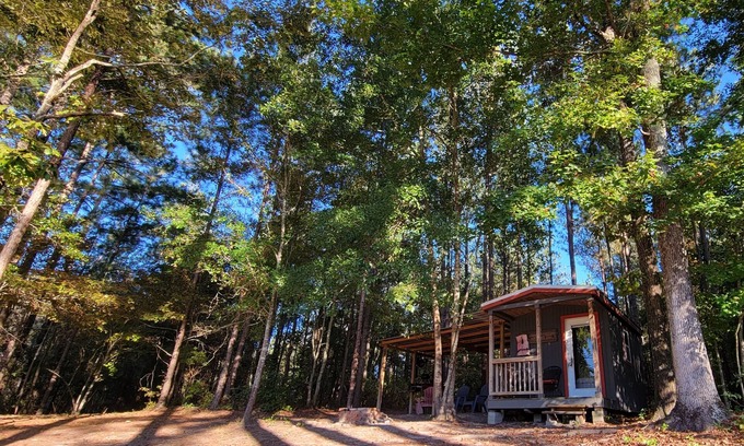 Reynolds Cabine | Cabine hors réseau dans les bois