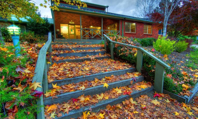 Freeburgh Cabine | Discovery Parks - Bright