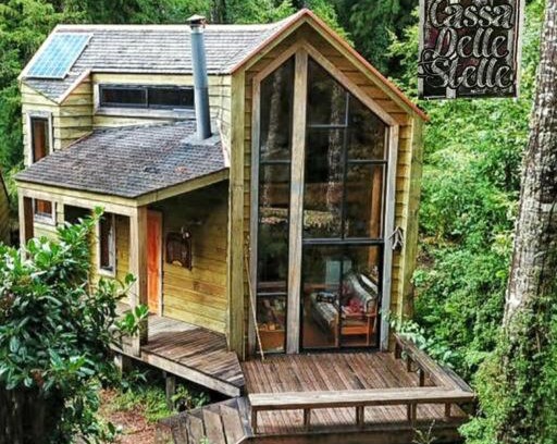 Los Rios Maison | Disfruta y vive el Bosque en Reserva Biológica