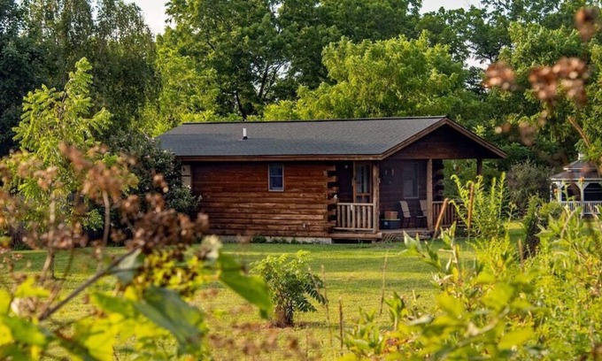 Lodi Cabine | Cabane isolée dans la région viticole - Glamping pour animaux de compagnie, avec petit-déjeuner inclus!