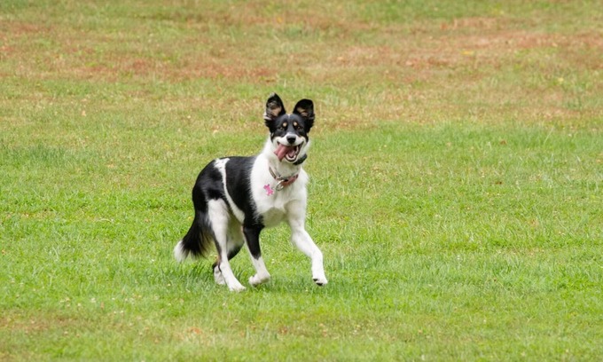 Bensalem Cottage | Dog friendly hideaway in Bucks County near River