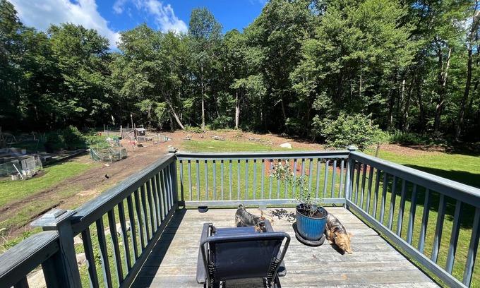 Hampton Autre | Dog lover’s retreat with acres to roam, farm animals, and plenty to explore!