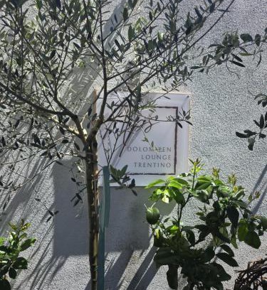 Pergine Valsugana Appartement | Dolomiten Lounge - moderno con parcheggio privato