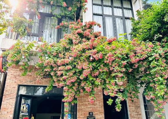 Dong Hoi Maison | Dolphin Home