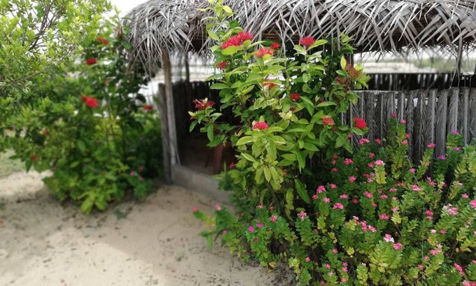 Kandakuliya Maison | dolphin wadiya