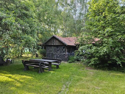 Warlubie Maison | Dom Pod Brzozami Lipinki Bory Tucholskie basen - psy, koty mile widziane!