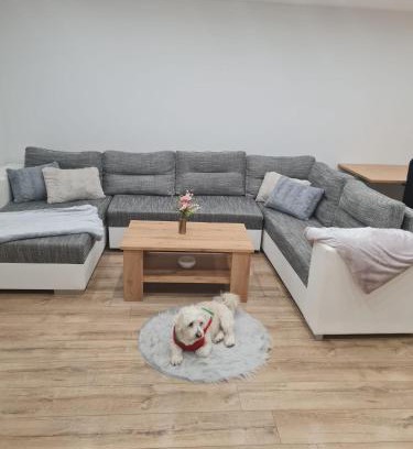 Zilina Maison | Dom pri rieke s parkovaním