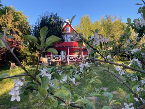 Borzestowska Huta Maison | Dom w Jabłonkach Wakacje, Kaszuby, Chmielno, Sznurki Gwiezdna 24