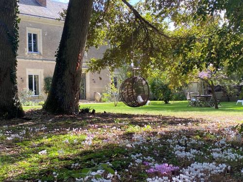 Notre-Dame-d'Oe Lit Et Petit-Déjeuner | Domaine de La Soudelle