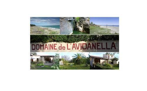 Santa-Lucia-di-Moriani Appartement | Domaine de l'Avidanella