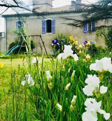 Sauve Hôtel | Domaine Mas Pigné