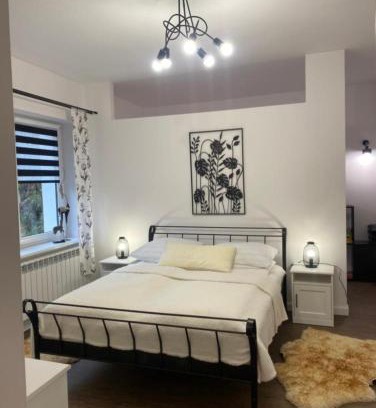 Kolczyglowy Maison | Domek pod lasem