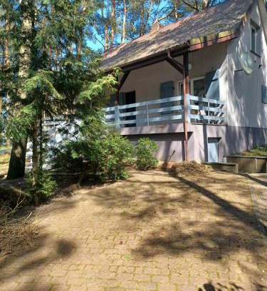 gmina Piotrkow Kujawski Maison | Domek pod Sosnami nad jeziorem Głuszyńskim