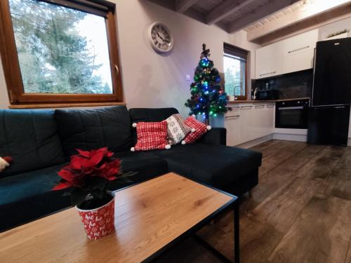 Swornegacie Chalet De Ski | Domek Sworne Zacisze