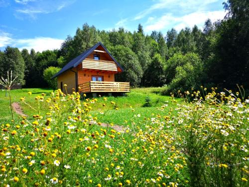 Nowa Ruda Maison | Domki w Bartnicy - Góry Sowie