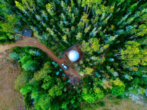 Araucania Region Autre | Domo con opcion a tinaja en medio del bosque
