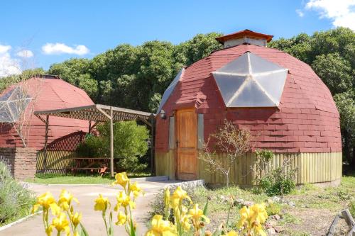 Hijuelas Cabine | Domos Ocoa