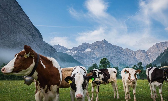 Eng Alm Cabine | Doppelzimmer - Angerer Hütte - Almdorf Eng Alm