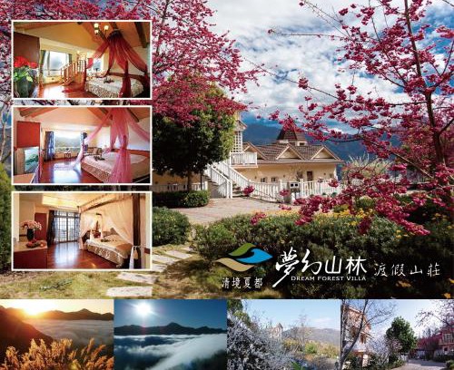 Ren'ai Maison | Dream Forest Villa