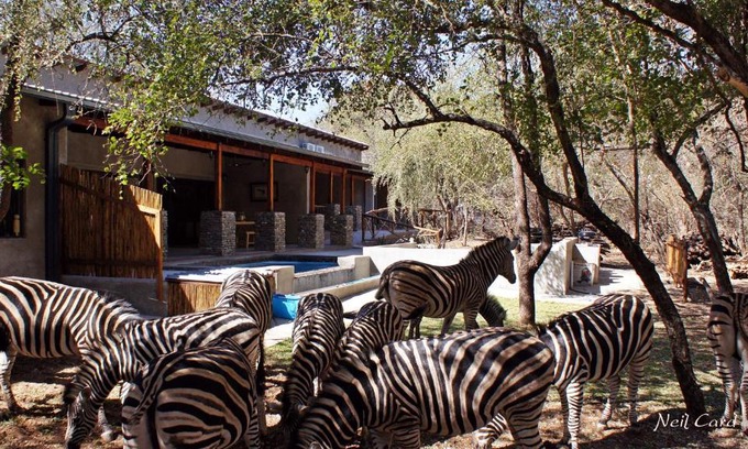 Marloth Park Cabine | Dream of Africa Bush Lodge