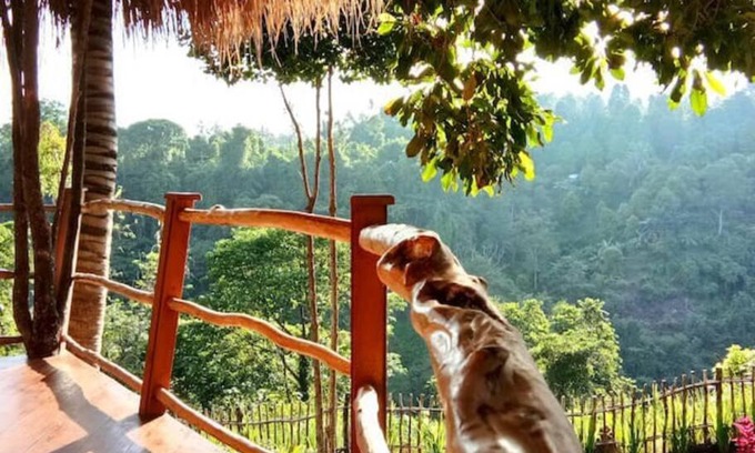 Sukasada Maison | Dreamy Eco Tree House by 7 Waterfalls