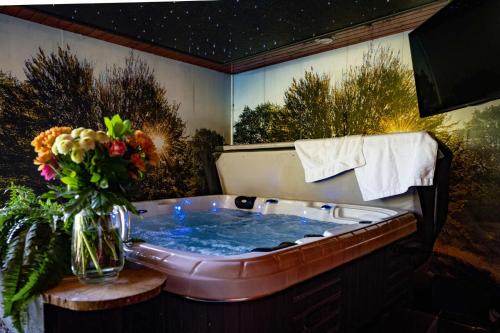 Erm Chalet De Ski | Drents Genieten - Dopheide met privé jacuzzi en sauna