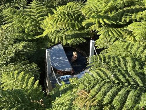 East Ballina Appartement | DRIFTWOOD- Hidden Gem, great view in a nature setting