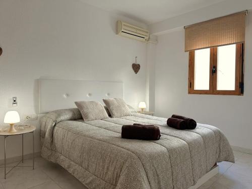 Santiago Appartement | DS El rincón de Ravé