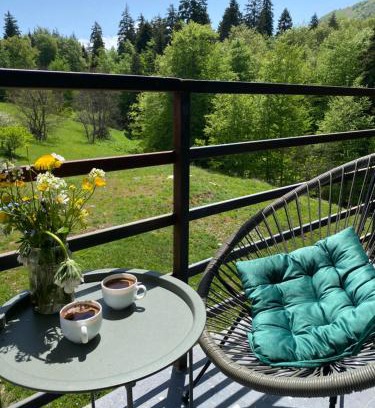 Bakuriani Appartement | Duplex apartment near the forest