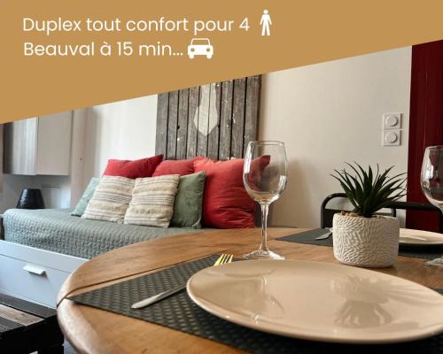 Selles-sur-Cher Appartement | Duplex/Beauval & Châteaux