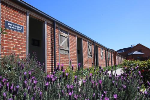 Moffatdale Station Balnéaire | Dusty Hill Vineyard - Moffatdale