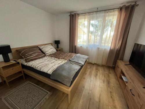 Sfantu Gheorghe Appartement | EA flat