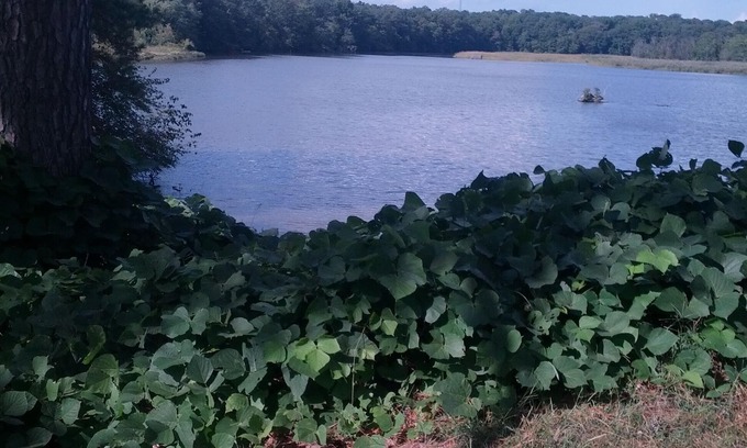 Golts Appartement | Eastern Shore Get Away