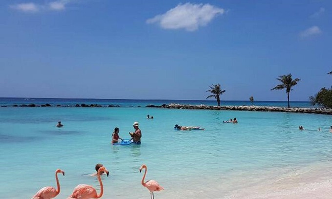 Washington Maison | Facile 0. 3 mile à pied de la célèbre bande de Palm Beach