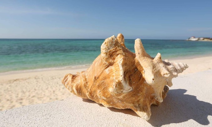 Nassau Maison | Easy Breezy - Cable Beach