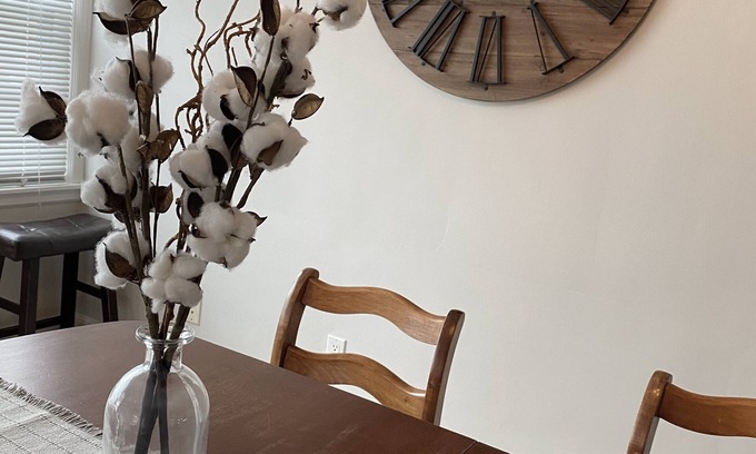 Dubuque Maison | Eat, Shop, Stroll & More! Stay at this Cozy Bungalow in Dubuque!