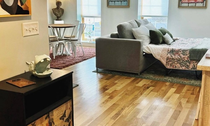 La Crosse Appartement | Eclectic Unique Cozy 1-bedroom apartment with WiFi, AC in charming La Crosse