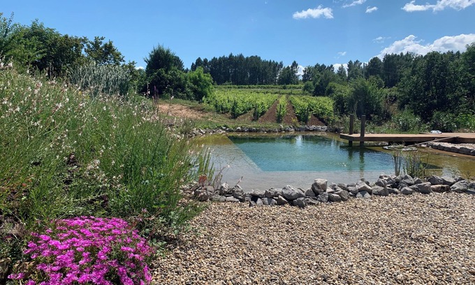Rosieres Cottage | ECO GITE 3 étoiles 2/3pers AU COEUR DES VIGNES