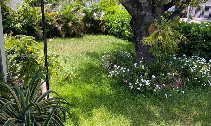 Seybold Maison | ECO SHARED GARDENIAN